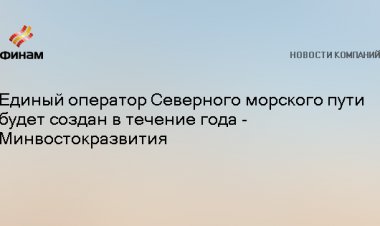 Единый оператор Северного морского пути будет создан в течение года - Минвостокразвития