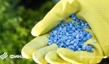 Правительство увеличило квоты на экспорт минеральных удобрений