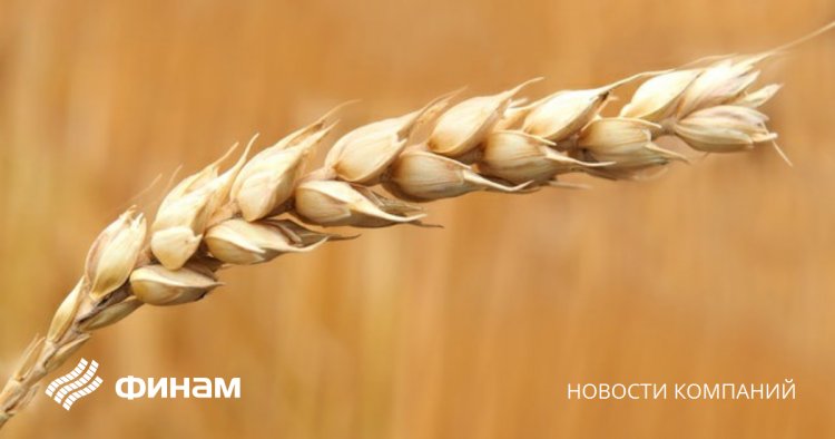Турция, Россия, Украина и ООН подготовили дорожную карту по "зерновой проблеме" - СМИ