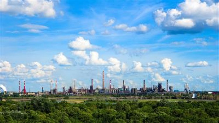 Акционеры НЛМК решили не выплачивать дивиденды-2021
