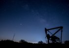 Внешнеторговый оборот России со странами СНГ за 8 месяцев составил $63 млрд