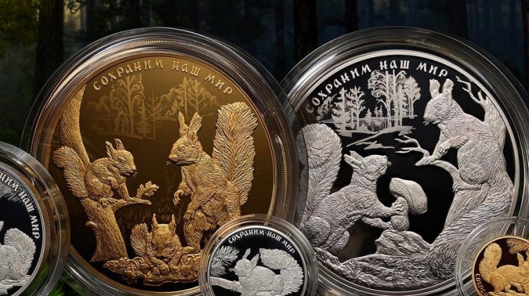 Банк России выпускает памятные монеты «Белка обыкновенная» серии «Сохраним наш мир»