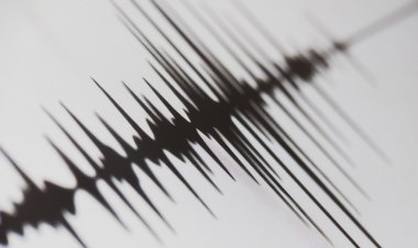 Два сильных землетрясения зафиксированы на территории России